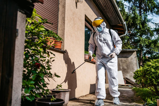 Best Mosquito Control Services  in San Antonio, TX