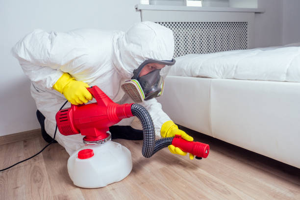 Reliable San Antonio, TX Pest Control Solutions