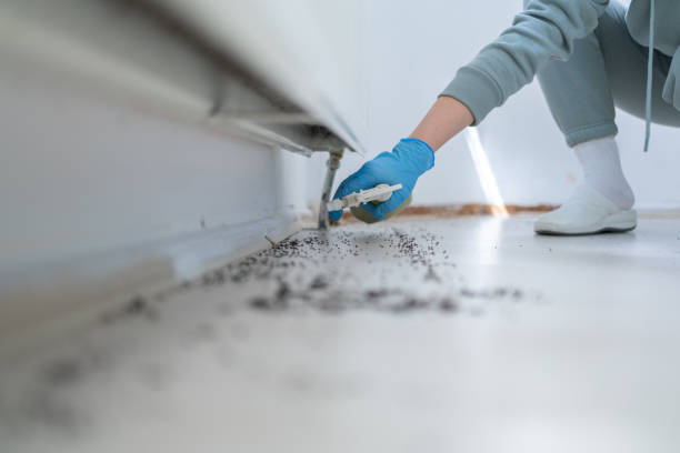 Best Best Pest Control Companies  in San Antonio, TX